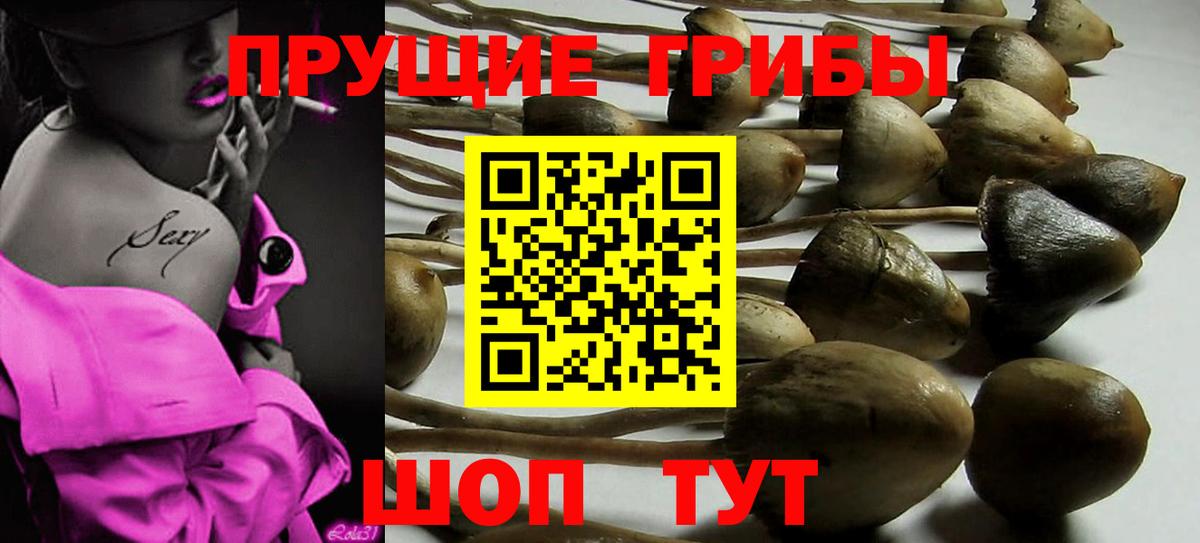 Мегион  Псилоцибиновые грибы мицелий  Вход с VPN 
